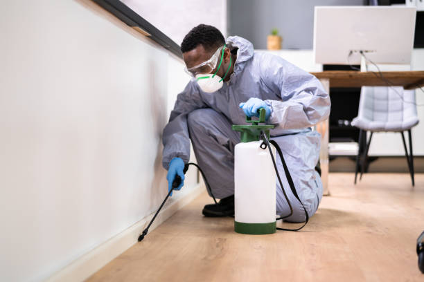 Best Residential Pest Control  in Jackson, MI